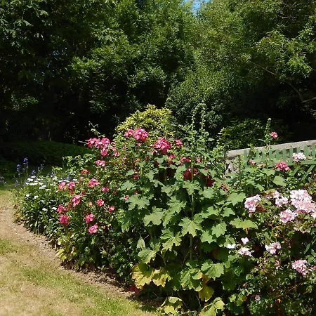 ' Maison De Campagne '